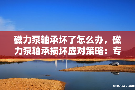 磁力泵轴承坏了怎么办，磁力泵轴承损坏应对策略：专业维修与更换指南