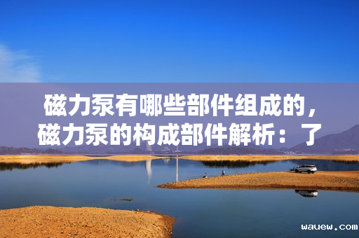磁力泵有哪些部件组成的，磁力泵的构成部件解析：了解其内部结构与组成要素
