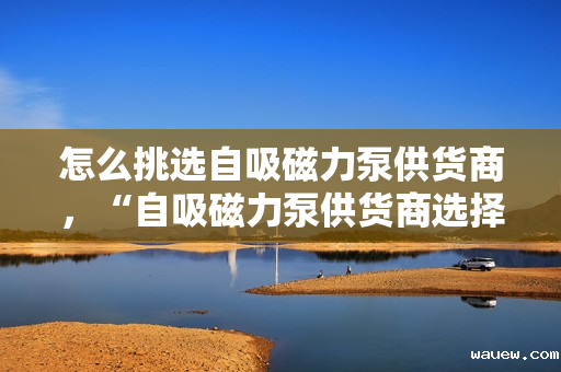 怎么挑选自吸磁力泵供货商，“自吸磁力泵供货商选择指南：关键步骤与考量因素”