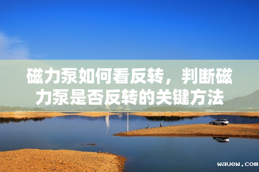 磁力泵如何看反转，判断磁力泵是否反转的关键方法