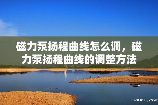 磁力泵扬程曲线怎么调，磁力泵扬程曲线的调整方法