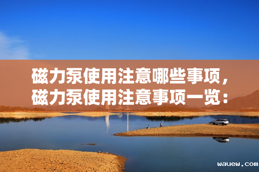 磁力泵使用注意哪些事项，磁力泵使用注意事项一览：保障安全与效率的关键要点