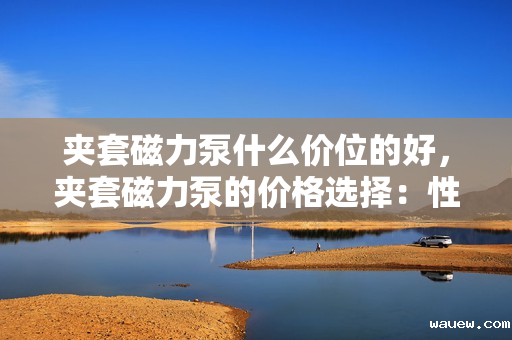 夹套磁力泵什么价位的好，夹套磁力泵的价格选择：性价比与适用性的完美结合点