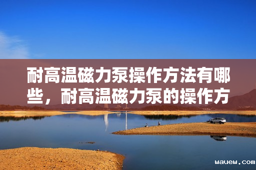 耐高温磁力泵操作方法有哪些，耐高温磁力泵的操作方法与技巧简析