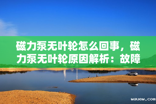 磁力泵无叶轮怎么回事，磁力泵无叶轮原因解析：故障排查与解决方案