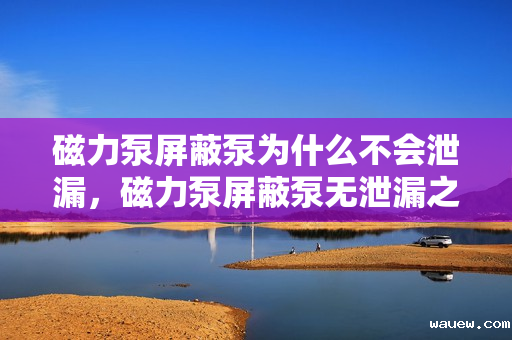 磁力泵屏蔽泵为什么不会泄漏，磁力泵屏蔽泵无泄漏之谜：独特设计与工作原理确保安全密封