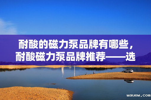 耐酸的磁力泵品牌有哪些，耐酸磁力泵品牌推荐——选择适合您的优质耐酸磁力泵