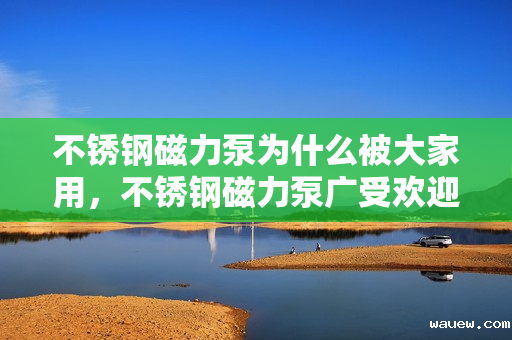 不锈钢磁力泵为什么被大家用，不锈钢磁力泵广受欢迎的原因解析