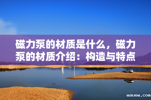 磁力泵的材质是什么，磁力泵的材质介绍：构造与特点一览