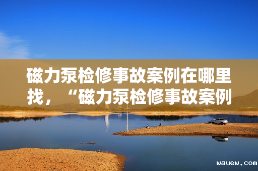 磁力泵检修事故案例在哪里找，“磁力泵检修事故案例分析及查找途径”