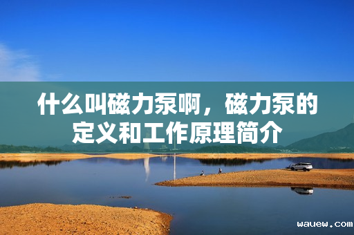 什么叫磁力泵啊，磁力泵的定义和工作原理简介