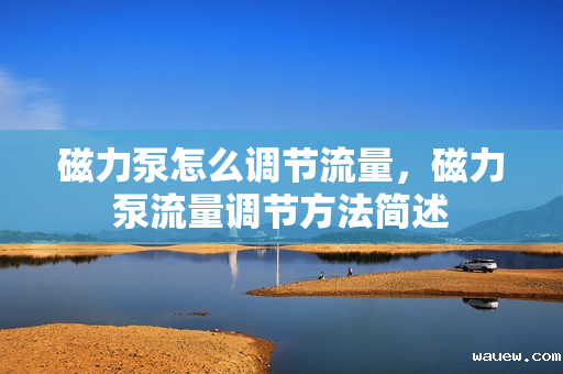 磁力泵怎么调节流量，磁力泵流量调节方法简述