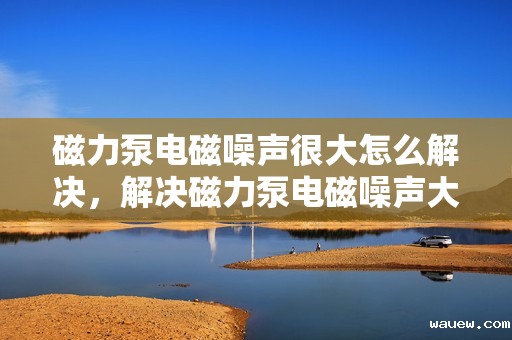 磁力泵电磁噪声很大怎么解决，解决磁力泵电磁噪声大的有效方法