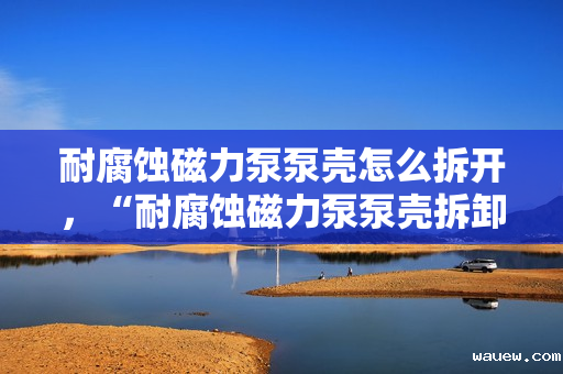 耐腐蚀磁力泵泵壳怎么拆开，“耐腐蚀磁力泵泵壳拆卸方法指南”