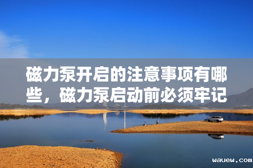 磁力泵开启的注意事项有哪些，磁力泵启动前必须牢记的注意事项