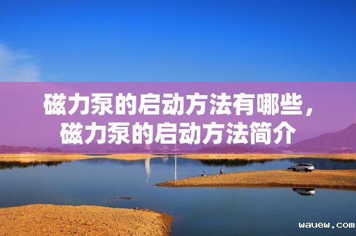 磁力泵的启动方法有哪些，磁力泵的启动方法简介