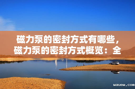 磁力泵的密封方式有哪些，磁力泵的密封方式概览：全面了解不同种类的密封方法