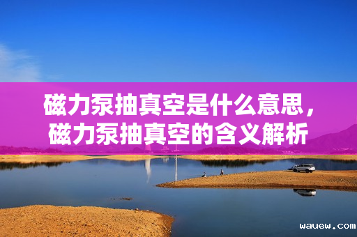 磁力泵抽真空是什么意思，磁力泵抽真空的含义解析