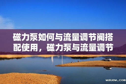 磁力泵如何与流量调节阀搭配使用，磁力泵与流量调节阀的协同应用策略