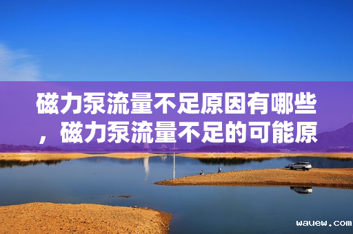 磁力泵流量不足原因有哪些，磁力泵流量不足的可能原因解析