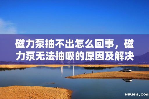 磁力泵抽不出怎么回事，磁力泵无法抽吸的原因及解决方法