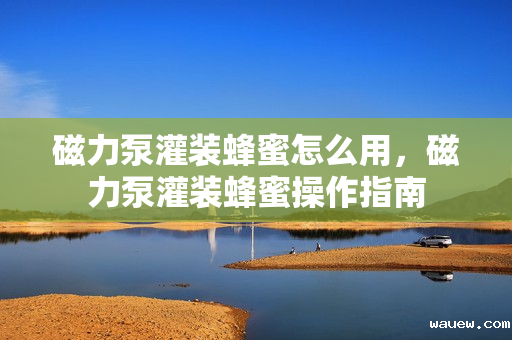 磁力泵灌装蜂蜜怎么用，磁力泵灌装蜂蜜操作指南