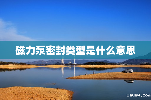 磁力泵密封类型是什么意思