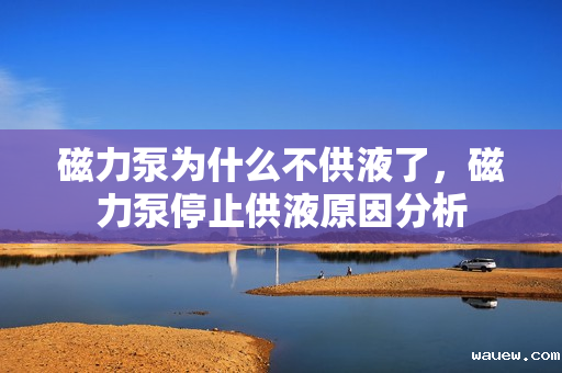 磁力泵为什么不供液了，磁力泵停止供液原因分析