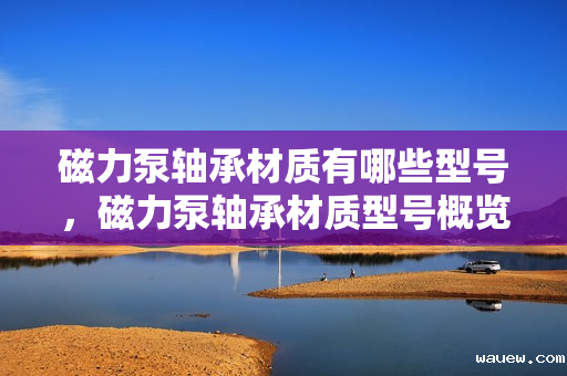 磁力泵轴承材质有哪些型号，磁力泵轴承材质型号概览：全面解析常见选择