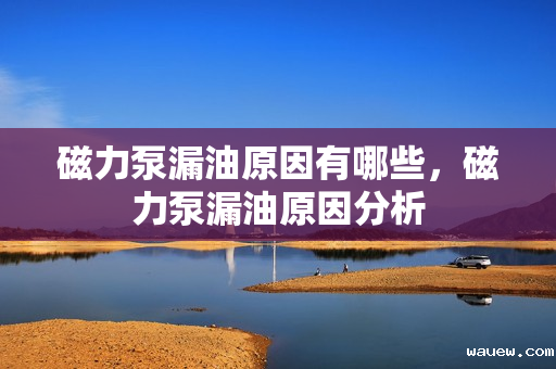 磁力泵漏油原因有哪些，磁力泵漏油原因分析