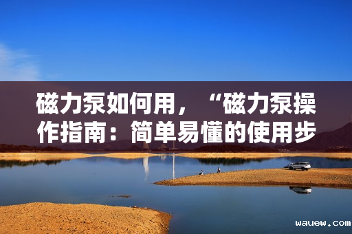 磁力泵如何用，“磁力泵操作指南：简单易懂的使用步骤”
