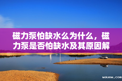 磁力泵怕缺水么为什么，磁力泵是否怕缺水及其原因解析