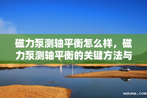 磁力泵测轴平衡怎么样，磁力泵测轴平衡的关键方法与技巧解析