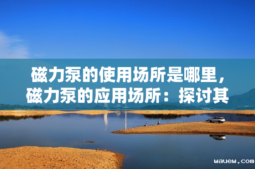 磁力泵的使用场所是哪里，磁力泵的应用场所：探讨其在不同工业领域中的关键作用