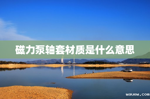 磁力泵轴套材质是什么意思