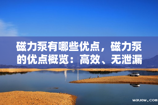 磁力泵有哪些优点，磁力泵的优点概览：高效、无泄漏、节能与环保的完美结合