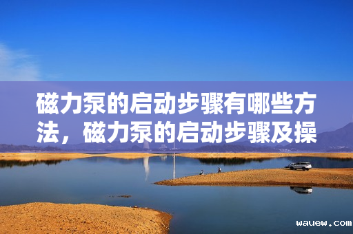 磁力泵的启动步骤有哪些方法，磁力泵的启动步骤及操作方法简介