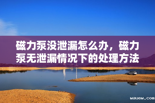 磁力泵没泄漏怎么办，磁力泵无泄漏情况下的处理方法或建议