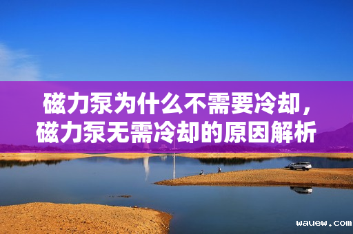 磁力泵为什么不需要冷却，磁力泵无需冷却的原因解析