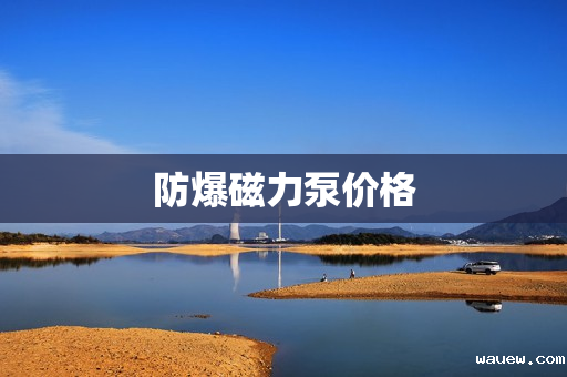 防爆磁力泵价格