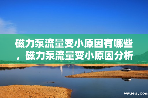 磁力泵流量变小原因有哪些，磁力泵流量变小原因分析