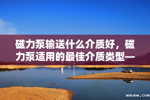 磁力泵输送什么介质好，磁力泵适用的最佳介质类型——高效、安全输送的关键选择