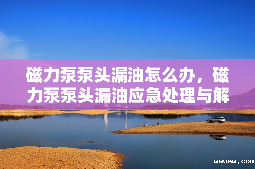 磁力泵泵头漏油怎么办，磁力泵泵头漏油应急处理与解决方案