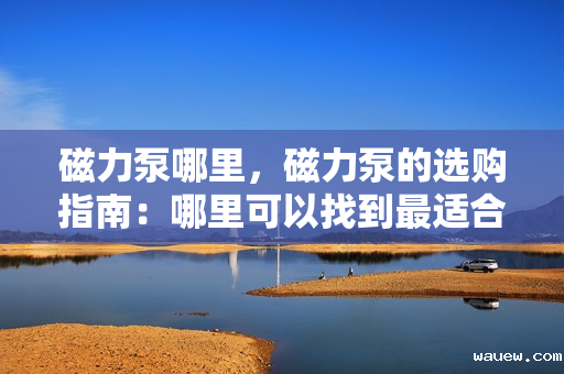 磁力泵哪里，磁力泵的选购指南：哪里可以找到最适合您的磁力泵？