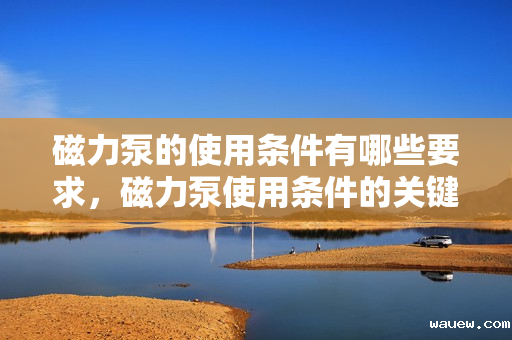 磁力泵的使用条件有哪些要求，磁力泵使用条件的关键要求概览