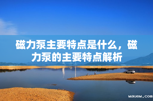 磁力泵主要特点是什么，磁力泵的主要特点解析