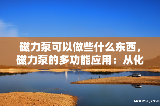 磁力泵可以做些什么东西，磁力泵的多功能应用：从化工到医药行业的流体处理解决方案