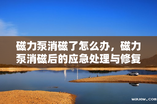 磁力泵消磁了怎么办，磁力泵消磁后的应急处理与修复方法