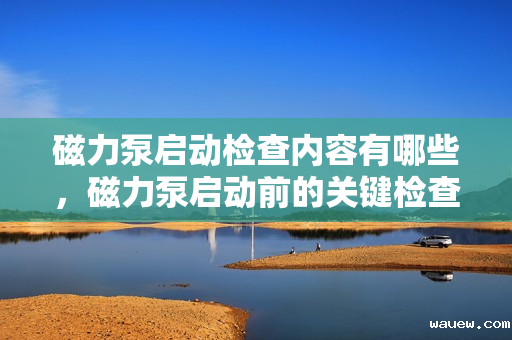 磁力泵启动检查内容有哪些，磁力泵启动前的关键检查项目一览