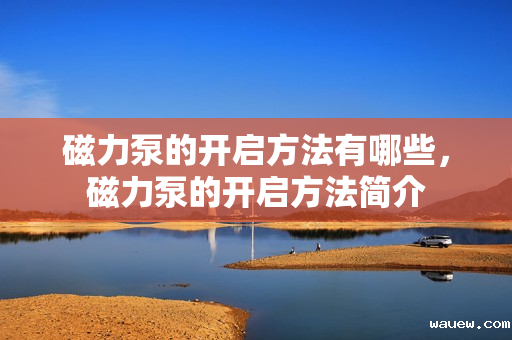 磁力泵的开启方法有哪些，磁力泵的开启方法简介